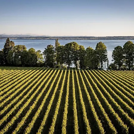 Schloss Kirchberg - Rose Immenstaad am Bodensee