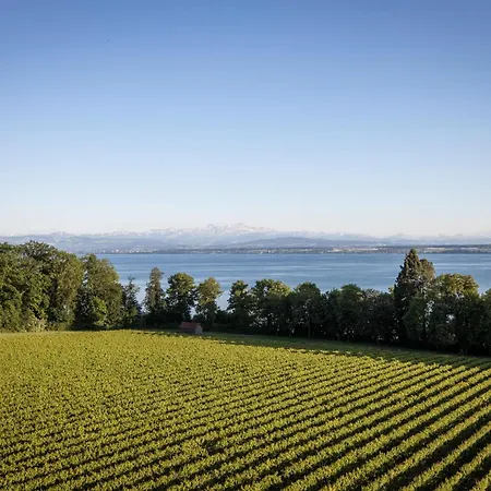 Schloss Kirchberg - Rose * Immenstaad am Bodensee